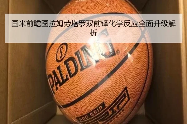 国米前瞻图拉姆劳塔罗双前锋化学反应全面升级解析
